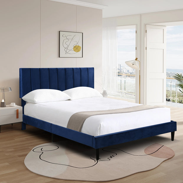 Bella Studio Clare Glam and Luxe Velvet Tufted Queen Bed with Channel AR Dynamic CaPadding in polyester velvet and padded with foam
Button Tufted Headboard
Polymer legs with black finish
Box spring not required 


Material - Velvet fabric “100% polLuxe Velvet Tufted Queen BedAR Dynamic Ca