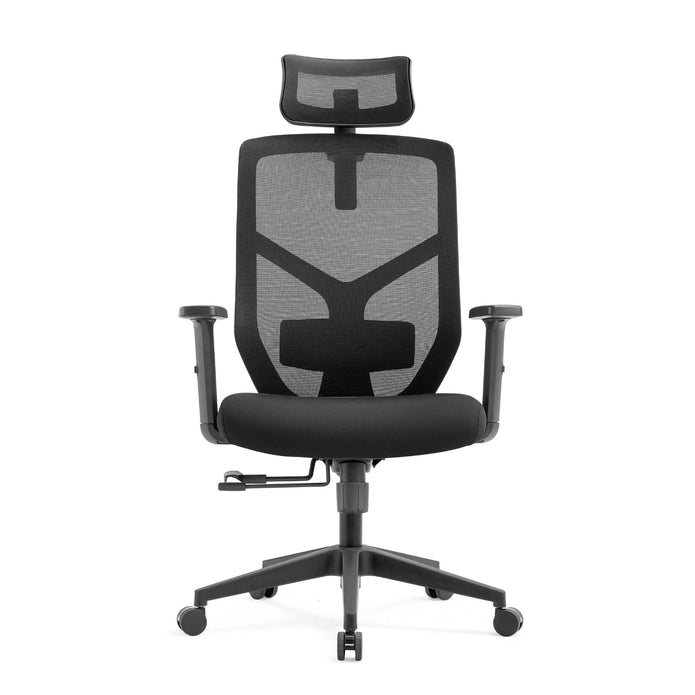 ALRina-H Ergonomic Home Office ChairAR Dynamic Ca