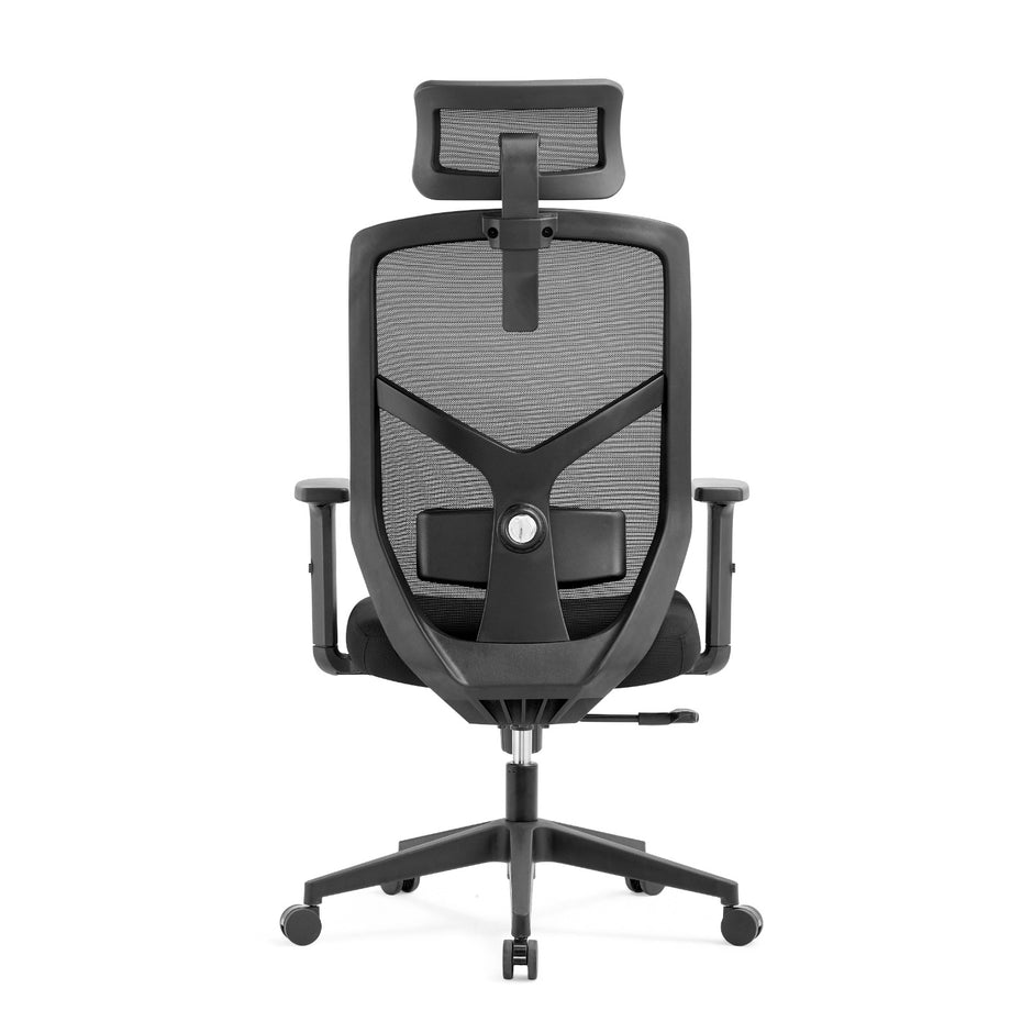 ALRina-H Ergonomic Home Office ChairAR Dynamic Ca