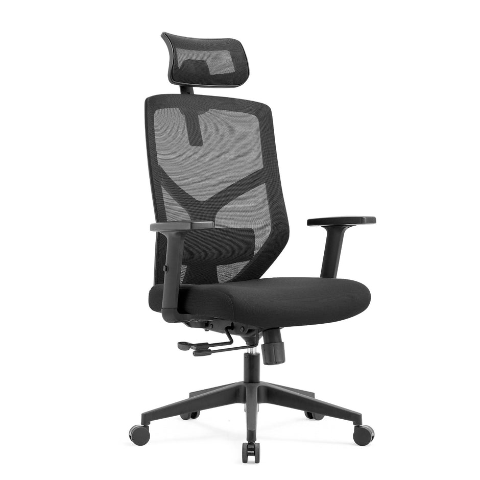 ALRina-H Ergonomic Home Office ChairAR Dynamic Ca