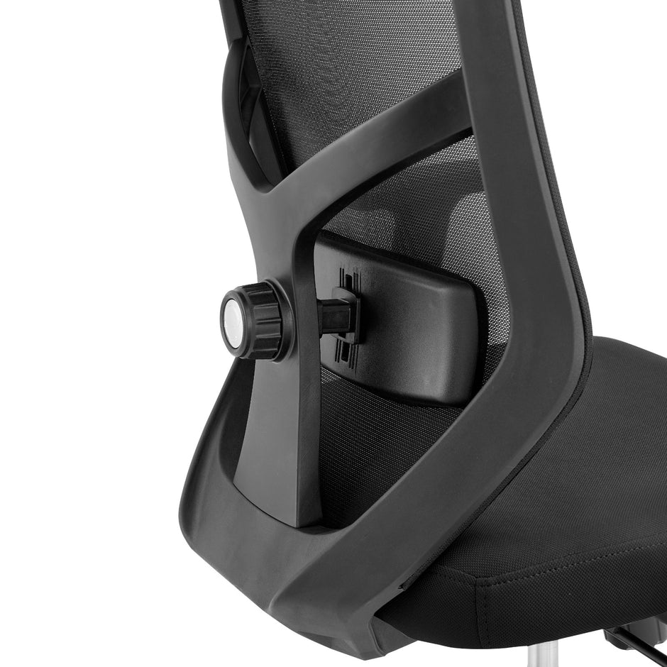 ALRina-H Ergonomic Home Office ChairAR Dynamic Ca