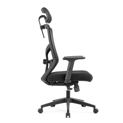 ALRina-H Ergonomic Home Office ChairAR Dynamic Ca"1) New design ergonomic mesh office chair (Full chair passed BIFMA standard, with SGS test report) 2) Mesh back + 2D lumbar support &amp; nylon back frame &amp; 2D OFFICE chairErgonomic Home Office ChairAR Dynamic Ca