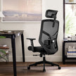 ALRina-H Ergonomic Home Office ChairAR Dynamic Ca