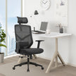 ALRina-H Ergonomic Home Office ChairAR Dynamic Ca