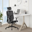 ALRina-H Ergonomic Home Office ChairAR Dynamic Ca