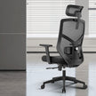 ALRina-H Ergonomic Home Office ChairAR Dynamic Ca