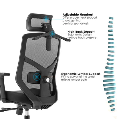 ALRina-H Ergonomic Home Office ChairAR Dynamic Ca"1) New design ergonomic mesh office chair (Full chair passed BIFMA standard, with SGS test report) 2) Mesh back + 2D lumbar support &amp; nylon back frame &amp; 2D OFFICE chairErgonomic Home Office ChairAR Dynamic Ca