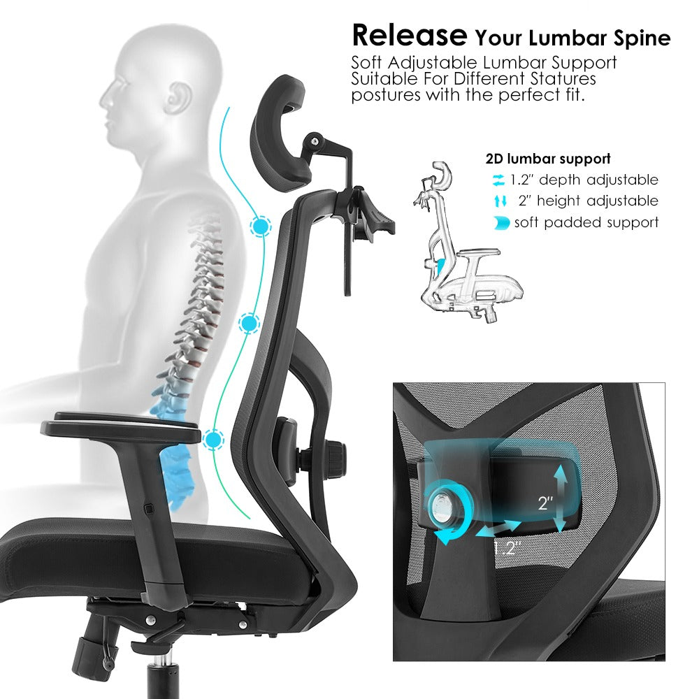 ALRina-H Ergonomic Home Office ChairAR Dynamic Ca