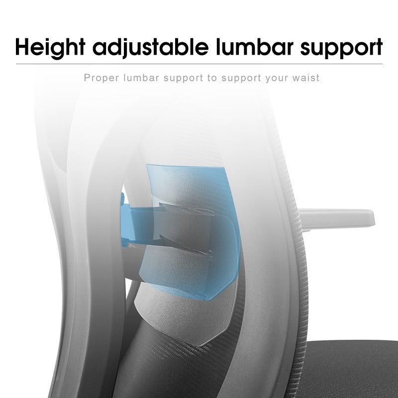 AVRenon-H Ergonomic Home Office ChairAR Dynamic Ca