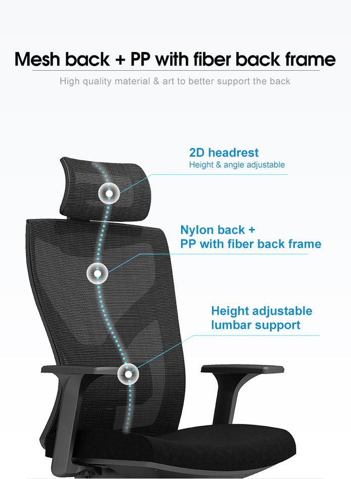 AVRenon-H Ergonomic Home Office ChairAR Dynamic Ca