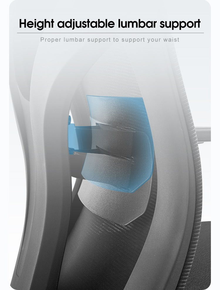 AVRenon-H Ergonomic Home Office ChairAR Dynamic Ca